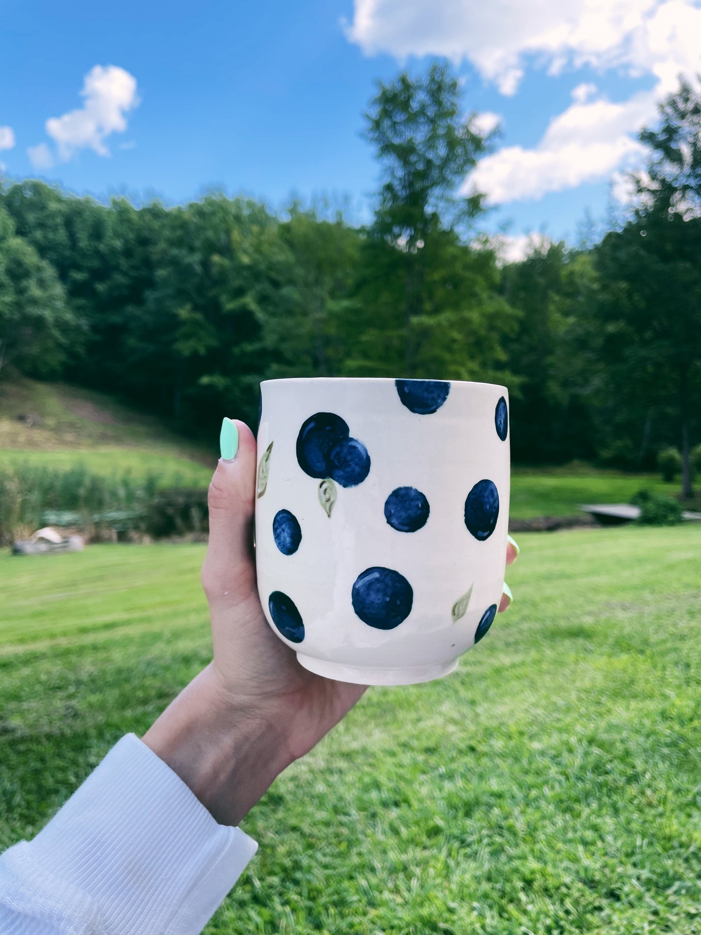 Maine Blueberry Cup