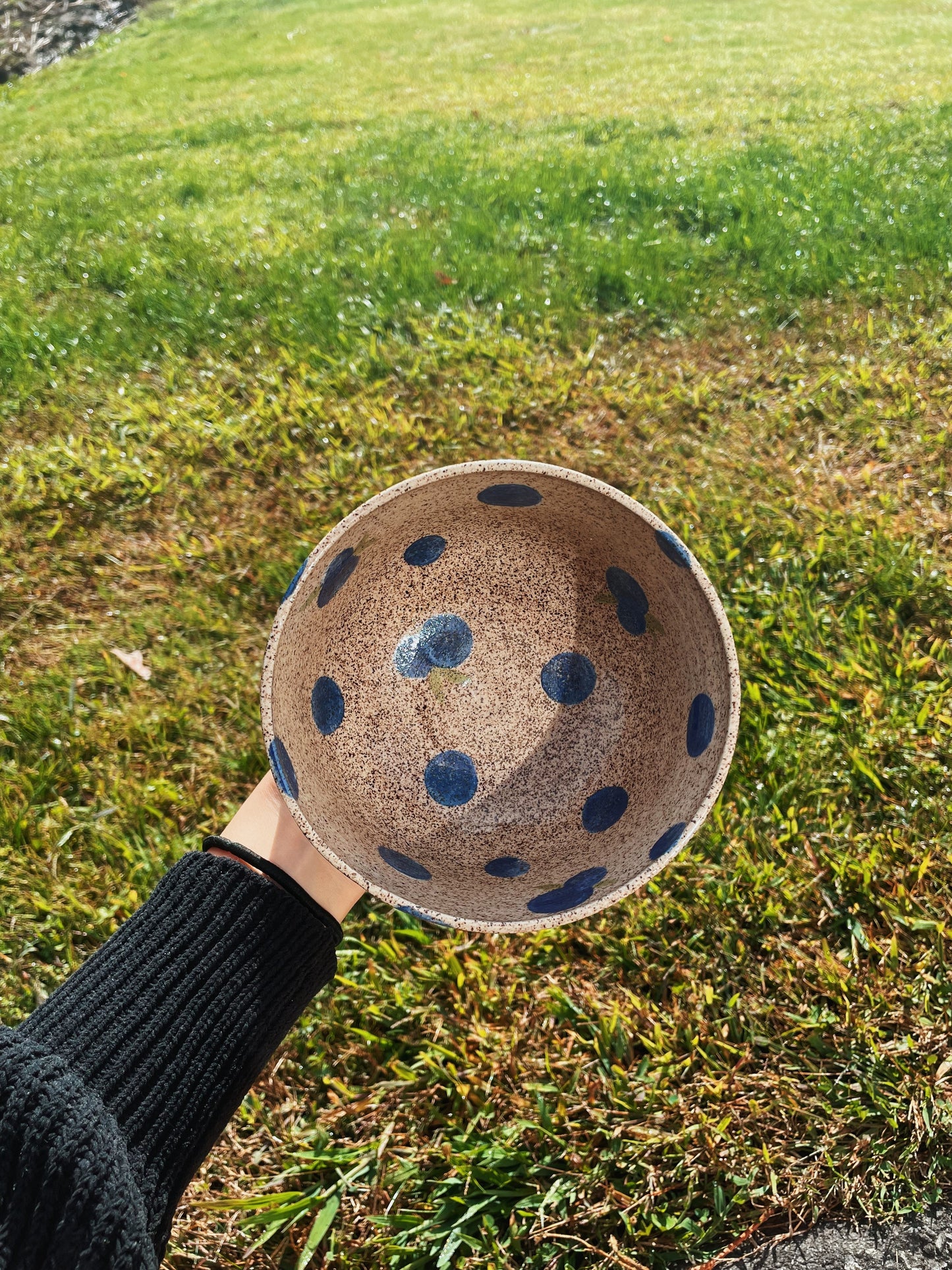 Blueberry Speckled Bowl
