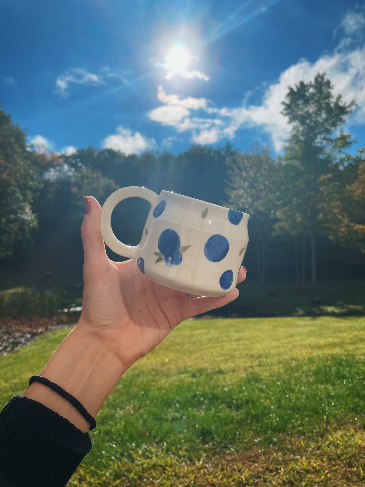 Blueberry Mug