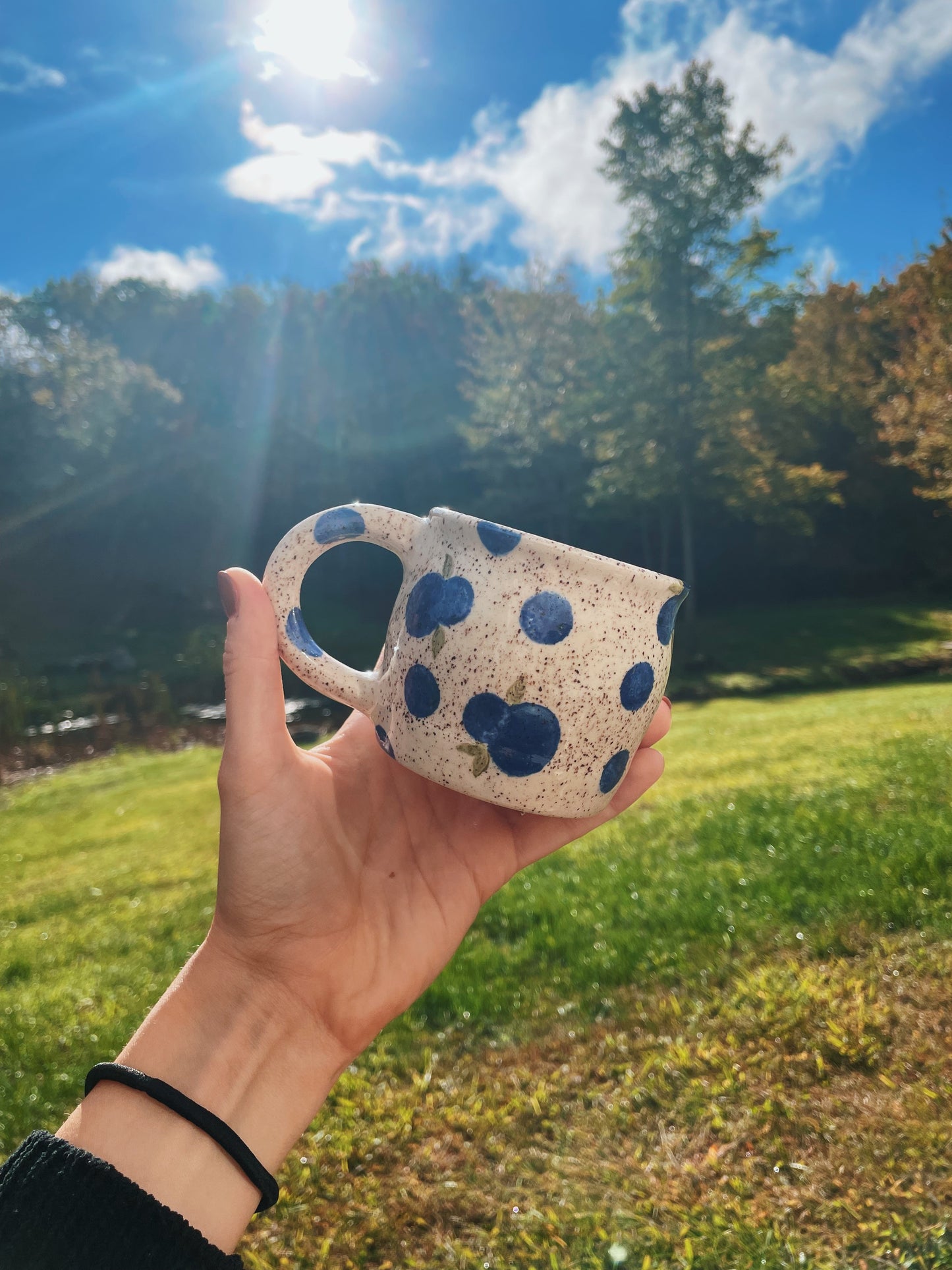 Blueberry Speckled Mug
